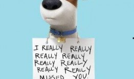 爱宠大机密在线观看,揭秘宠物世界的欢乐冒险